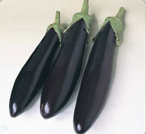 Aydın Siyahı Patlıcan